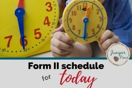 form 2 timetables schedule for featured image
