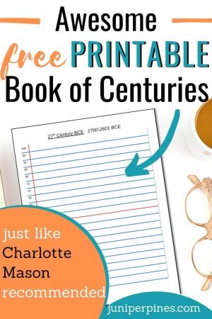 How to Make an Authentic Book of Centuries (includes free printable ...